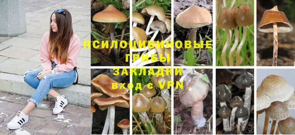 марки lsd Горнозаводск
