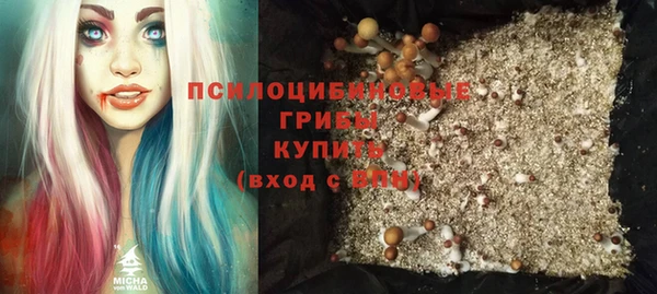 каннабис Гусиноозёрск
