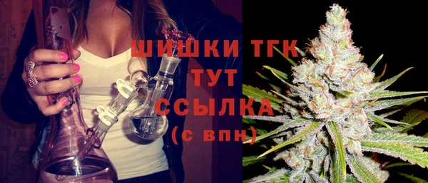 МДПВ Гусев