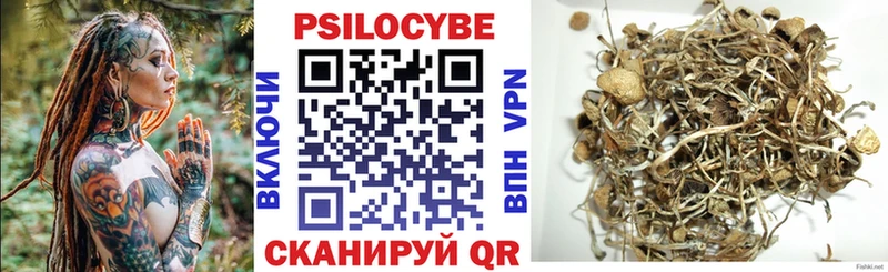Галлюциногенные грибы MAGIC MUSHROOMS Купить где Дорогобуж